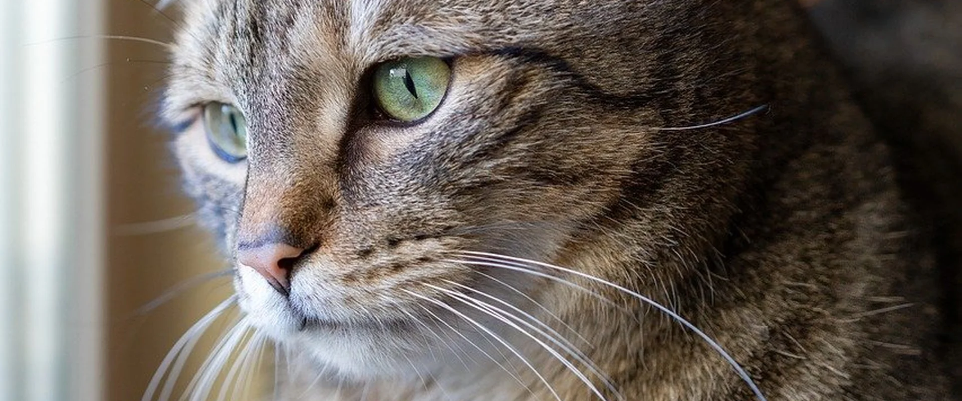 凤凰娱乐PG电子